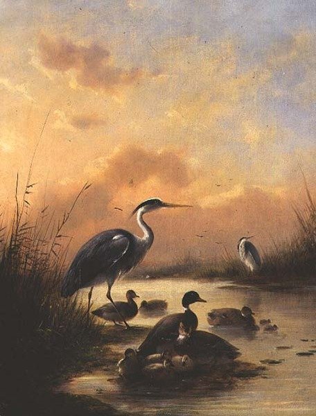 Rodzina krzyżówki i dwóch czapli (para 77887) autorstwa Augustus Knip