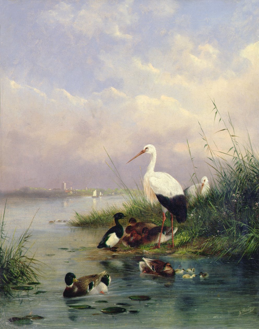 Rodzina krzyżówek, dwóch bocianów i rodziny czernic (para 77886) autorstwa Augustus Knip