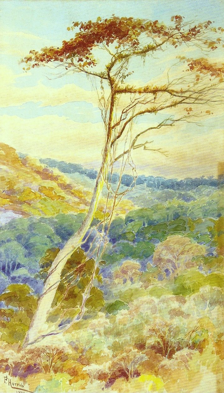 Krajobraz autorstwa Aurelio de Figueiredo