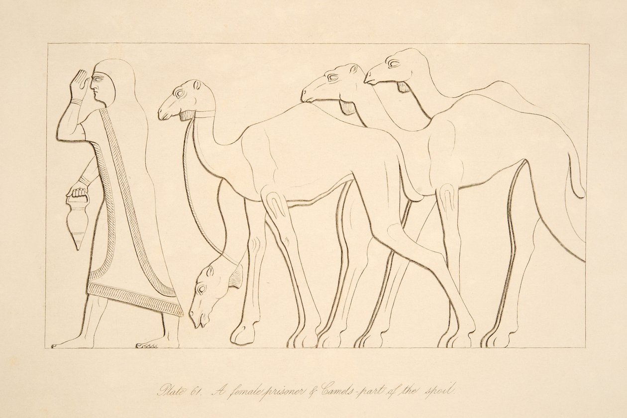 Więzień i wielbłąd, ilustracja z Monuments of Niniveh, 1849 autorstwa Austen Henry Layard