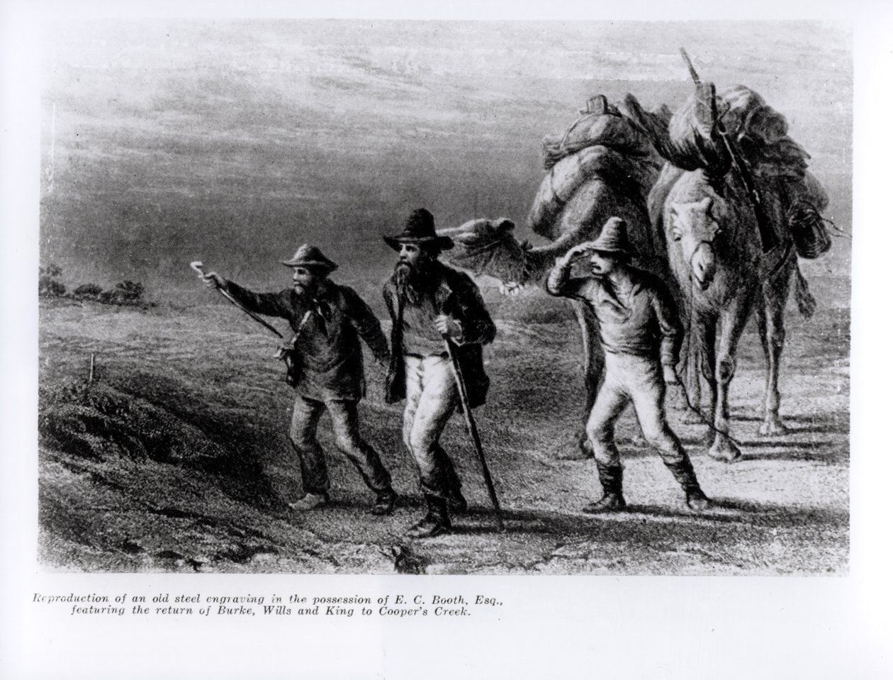 1838 оны 3-р сарын 1-нд Берк, Виллс, Кинг нар Куперс Крик рүү буцаж ирсэн нь (ган сийлбэр) autorstwa Australian School