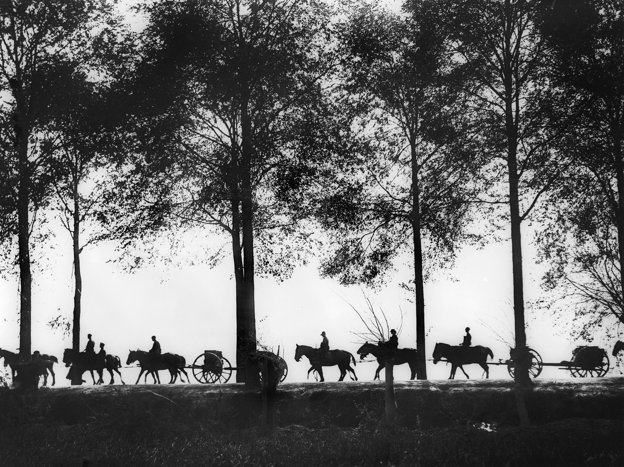 Widok sylwetki australijskich artylerii, załadowanych amunicją, poruszających się wzdłuż Ypres Road, 25 września 1917 autorstwa Australian Photographer