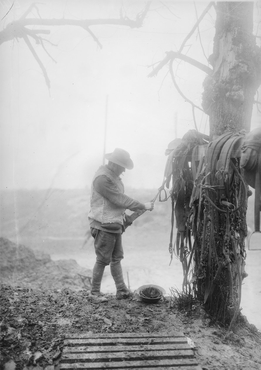 Niezidentyfikowany australijski kierowca artylerii czyści błoto z uprzęży swojego zespołu w kęsie w pobliżu Mametz, grudzień 1916 autorstwa Australian Photographer