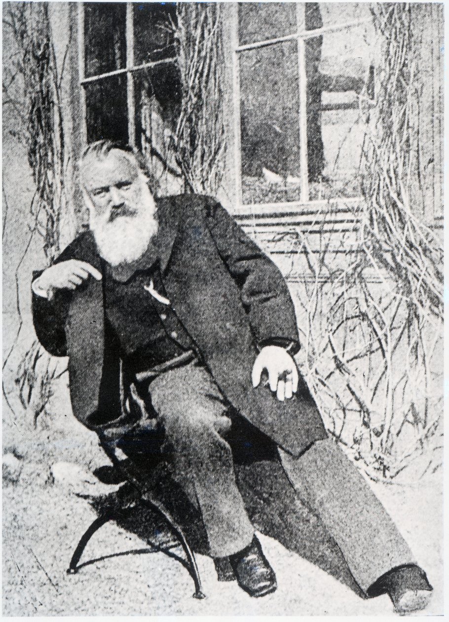 Johannes Brahms, ok.1897 autorstwa Austrian Photographer