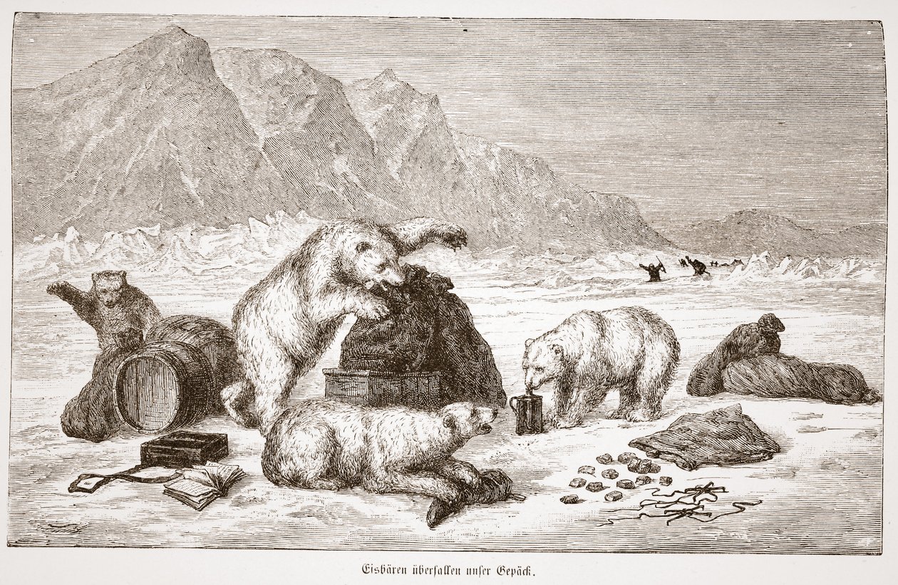 Niedźwiedzie polarne atakują naszą przechowalnię bagażu. Wiedeń 1876 (grafika) autorstwa Austrian School