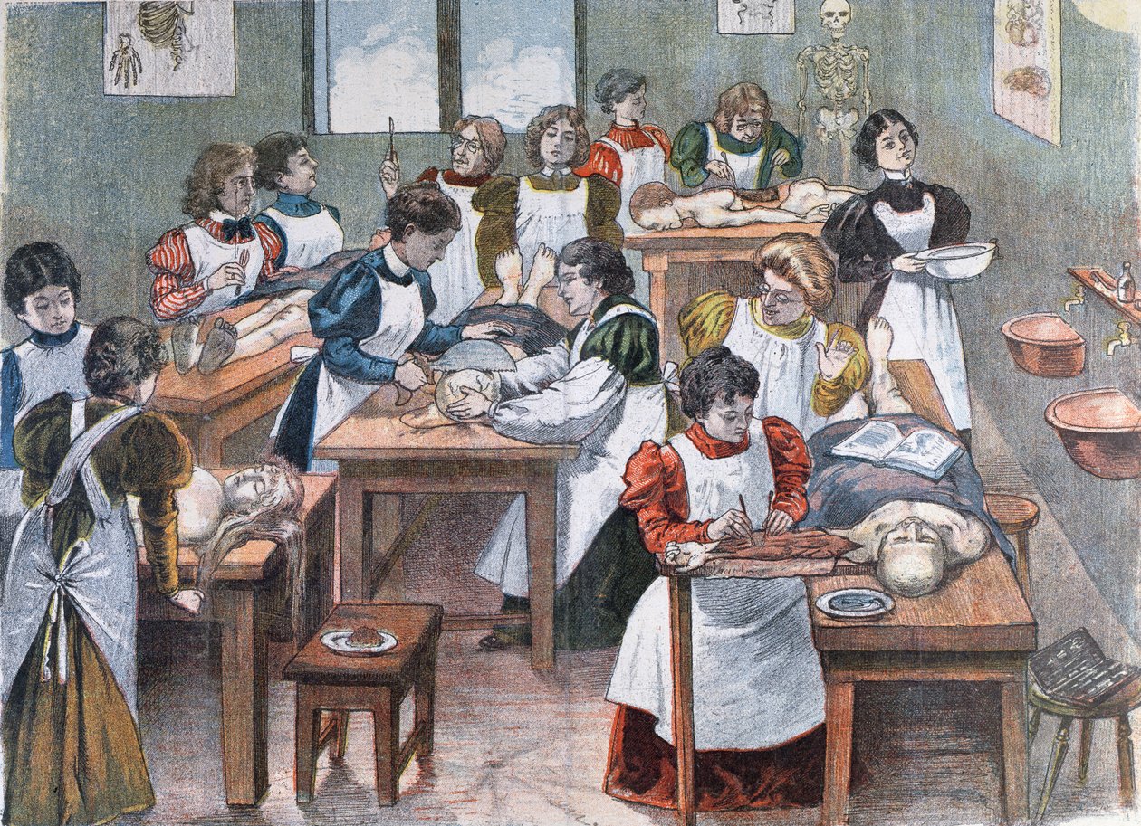 Studentki w Instytucie Anatomii w Nowym Jorku, 1897 autorstwa Austrian School