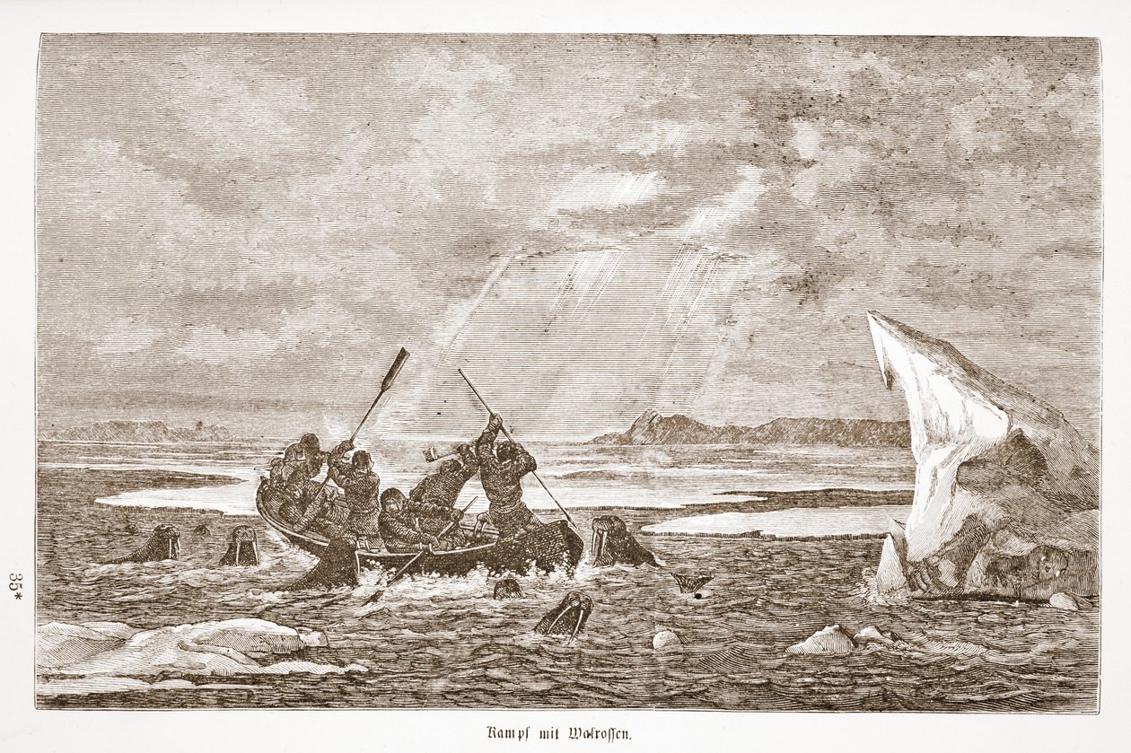 Walka z morsem, 1876 autorstwa Austrian School