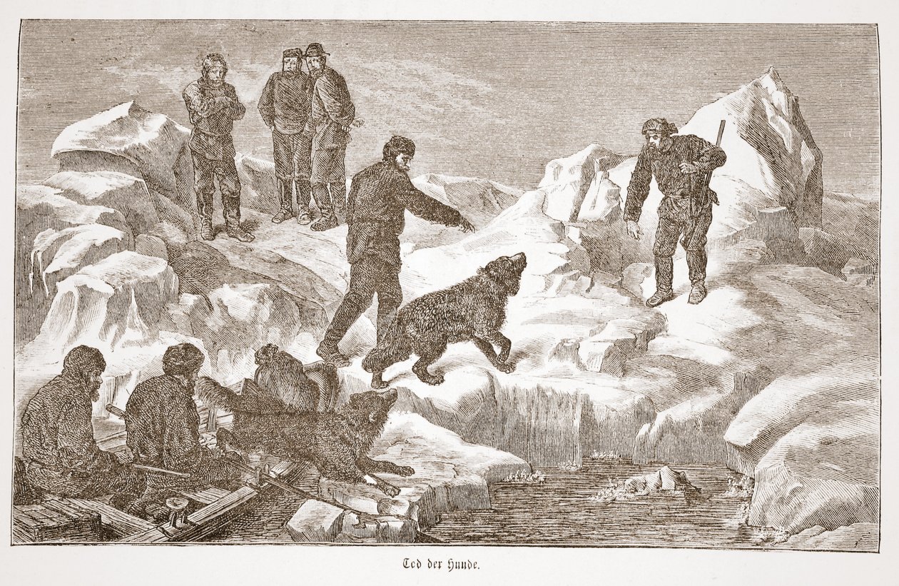Polowanie z psami, 1876 autorstwa Austrian School