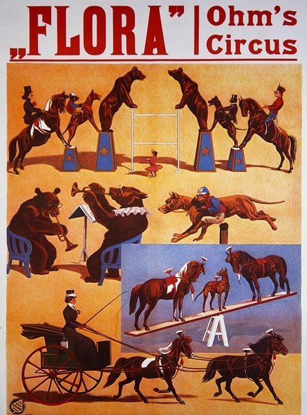 Plakat reklamujący "Cyrk Ohma" w Teatrze Flora w Hamburgu, ok. 1914 r. (litografia kolorowa) autorstwa Austrian School