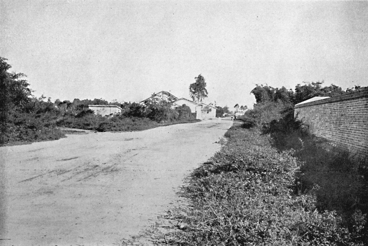 Kolonia São Bernardo, Kolonia São Bernardo do Campo, 1895 autorstwa Axel Frick