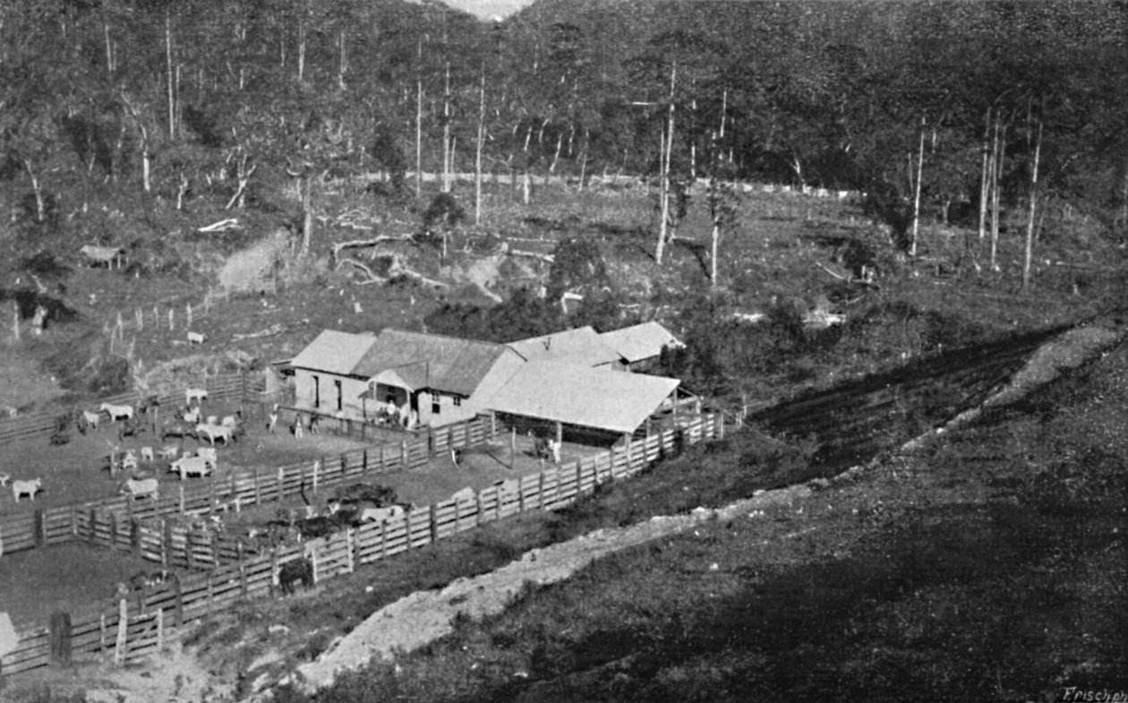 Farma Stworzenia Campos do Jordao, Farma Stworzenia, 1895 autorstwa Axel Frick