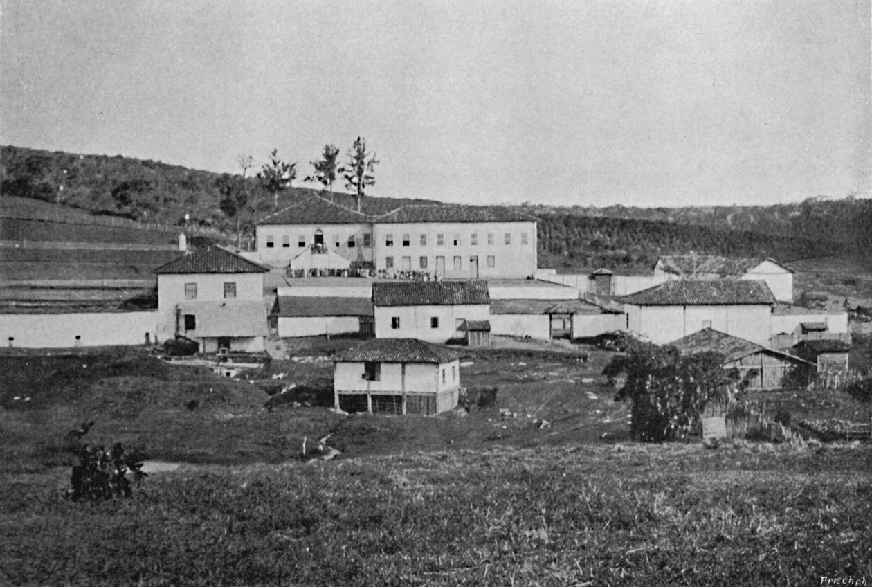 Sete Quedas Farm Campinas, Sete Quedas Farm, 1895 autorstwa Axel Frick