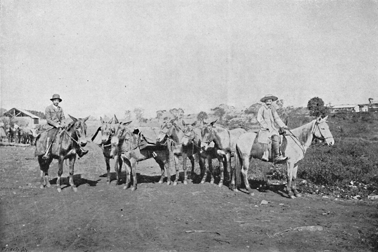 Handlarze wnętrza, Handlarze wnętrza, 1895 autorstwa Axel Frick