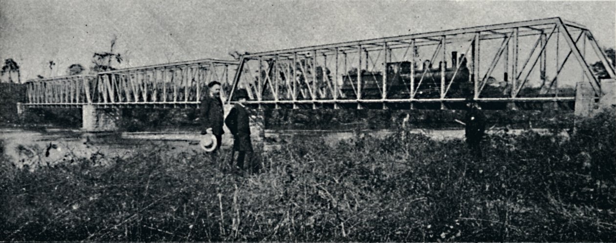 Most E.F. Mogyana nad rzeką Pardo, 1895 autorstwa Axel Frick