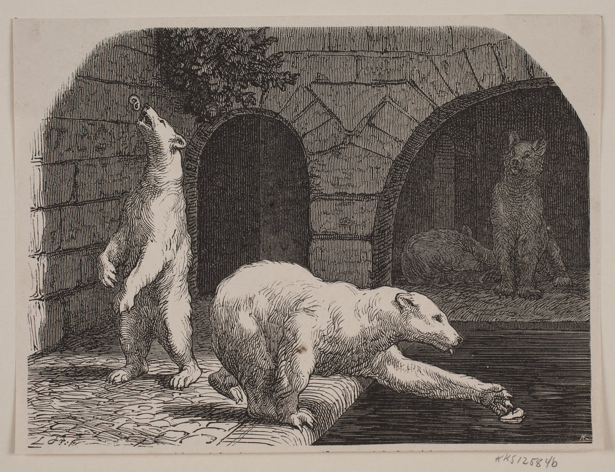 Niedźwiedzie w Jardin des Plantes autorstwa Axel Theodor Kittendorff