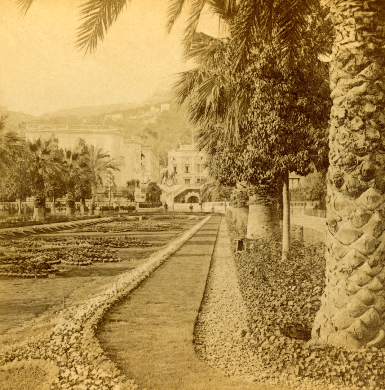 Monte Carlo, patrząc z kasyna, 1897. autorstwa B. W. Kilburn