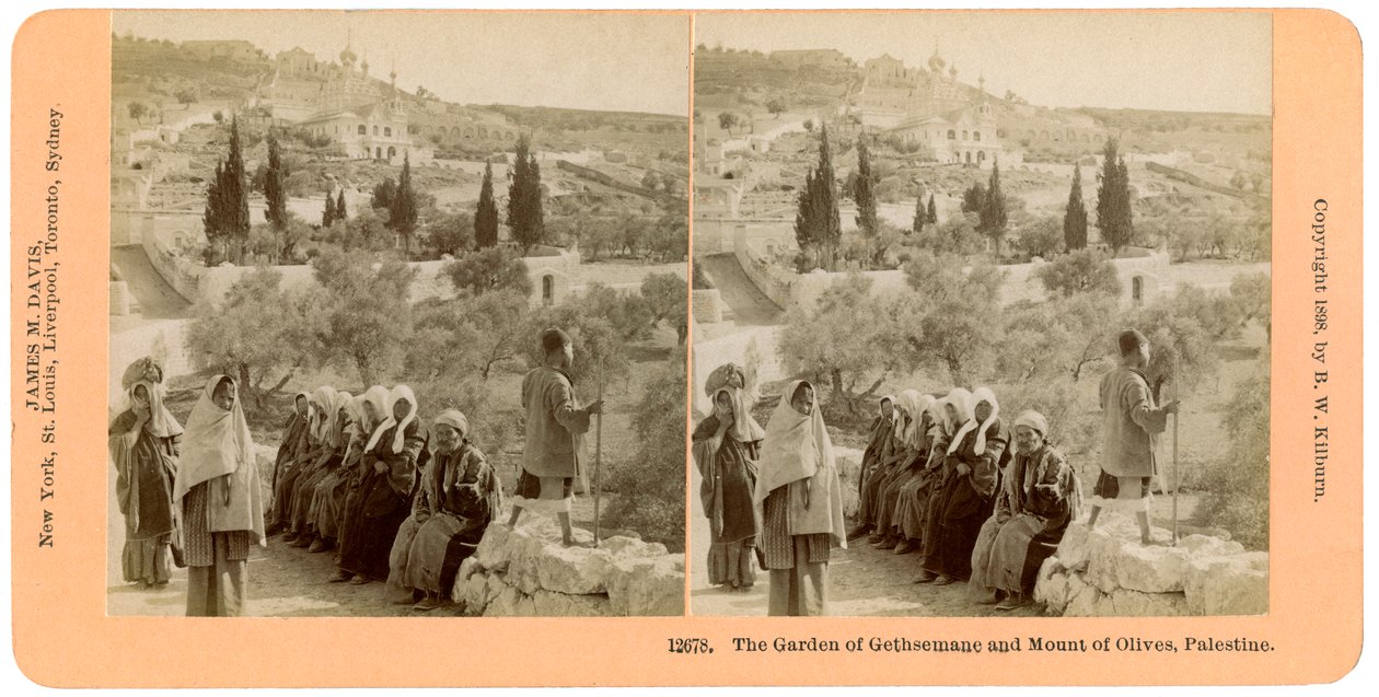 Ogród Getsemani i Góra Oliwna, Palestyna, 1898. autorstwa B. W. Kilburn