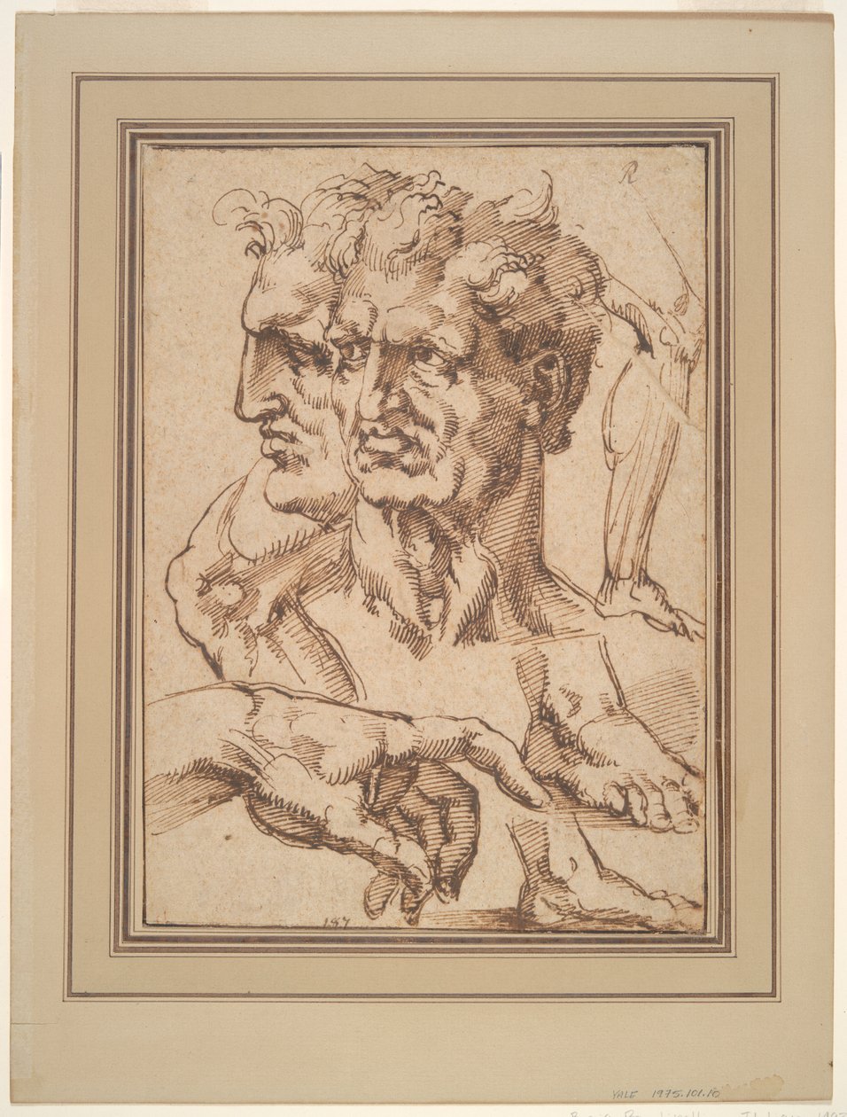 Arkusz studiów autorstwa Baccio Bandinelli