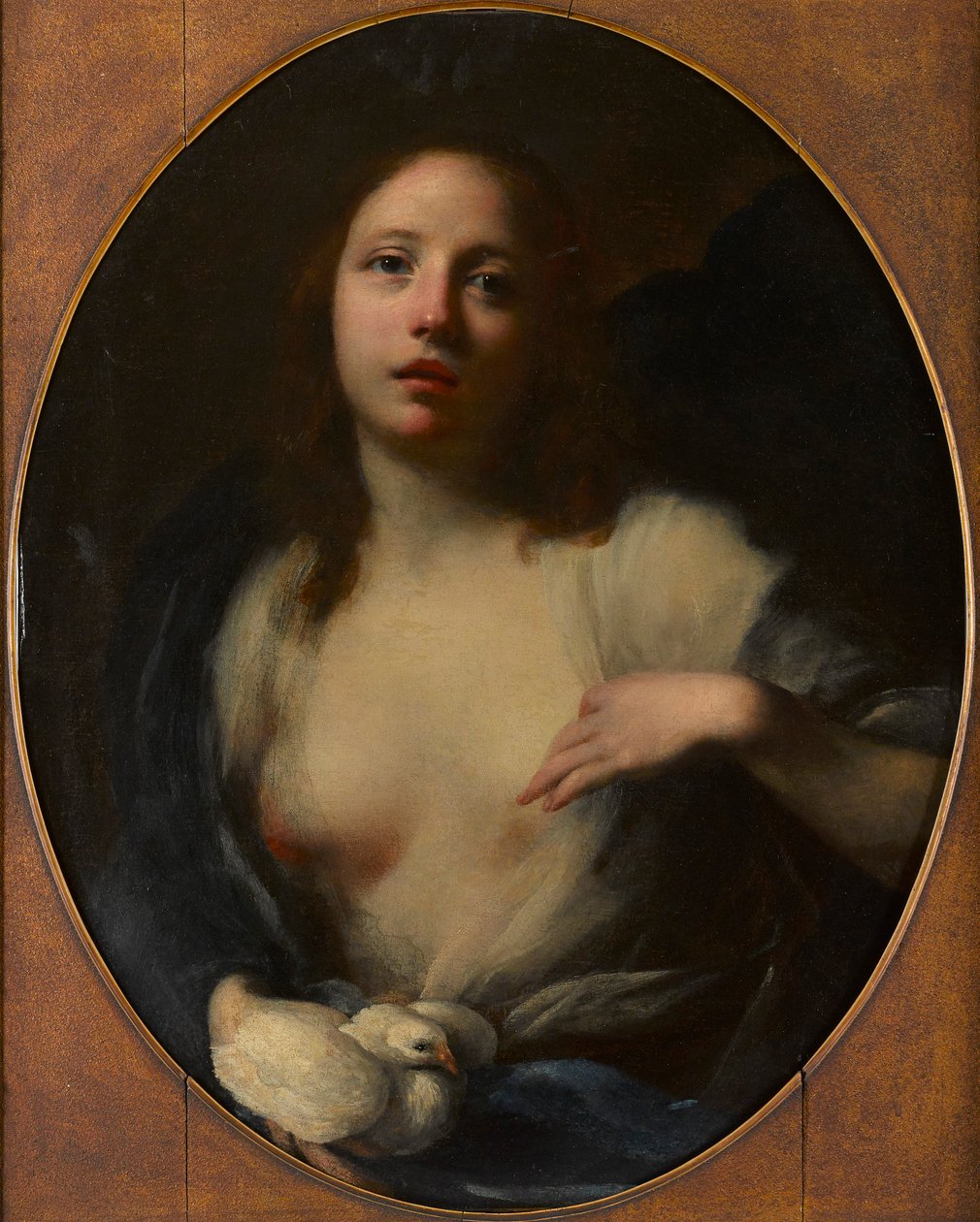 Obraz młodej dziewczyny z białą gołębicą (olej na płótnie) autorstwa Baldassare (1611 89) Franceschini