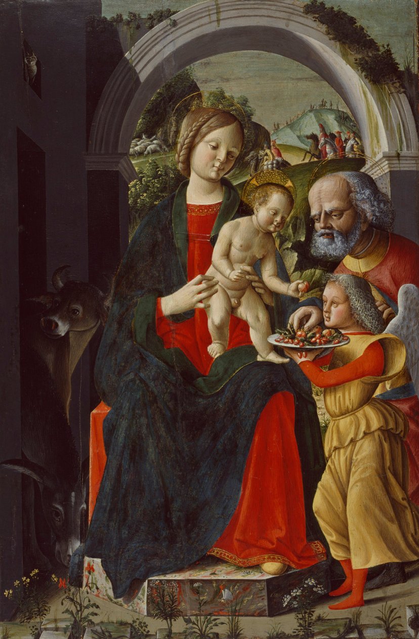 Święta Rodzina z Aniołem, ok. 1485 autorstwa Baldassare di Matteo Carrari