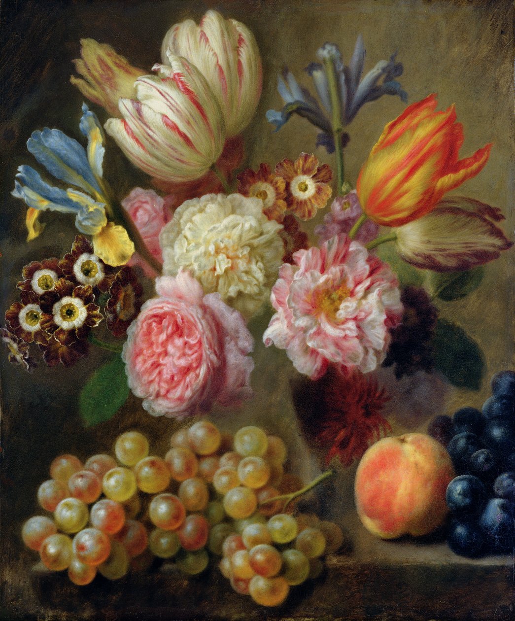 Flower Study (olej na miedzi) autorstwa Balthasar Denner