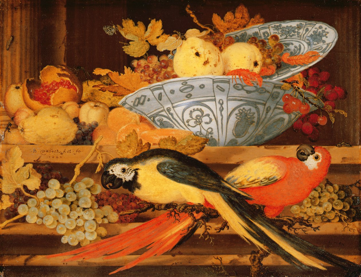 Martwa natura z owocami i ara, 1622 (olej na miedzi) autorstwa Balthasar van der Ast