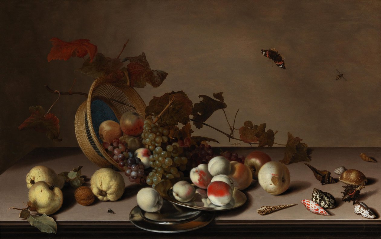 Martwa natura owocowa z wiklinowym koszem, małżami i motylem, pierwsza połowa XVII wieku. autorstwa Balthasar van der Ast