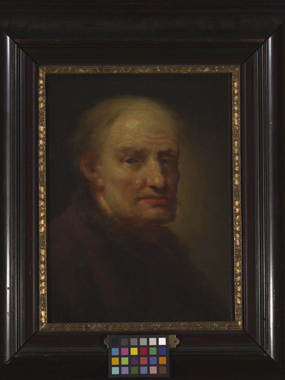 Głowa starca (olej na desce) autorstwa Balthasar Denner