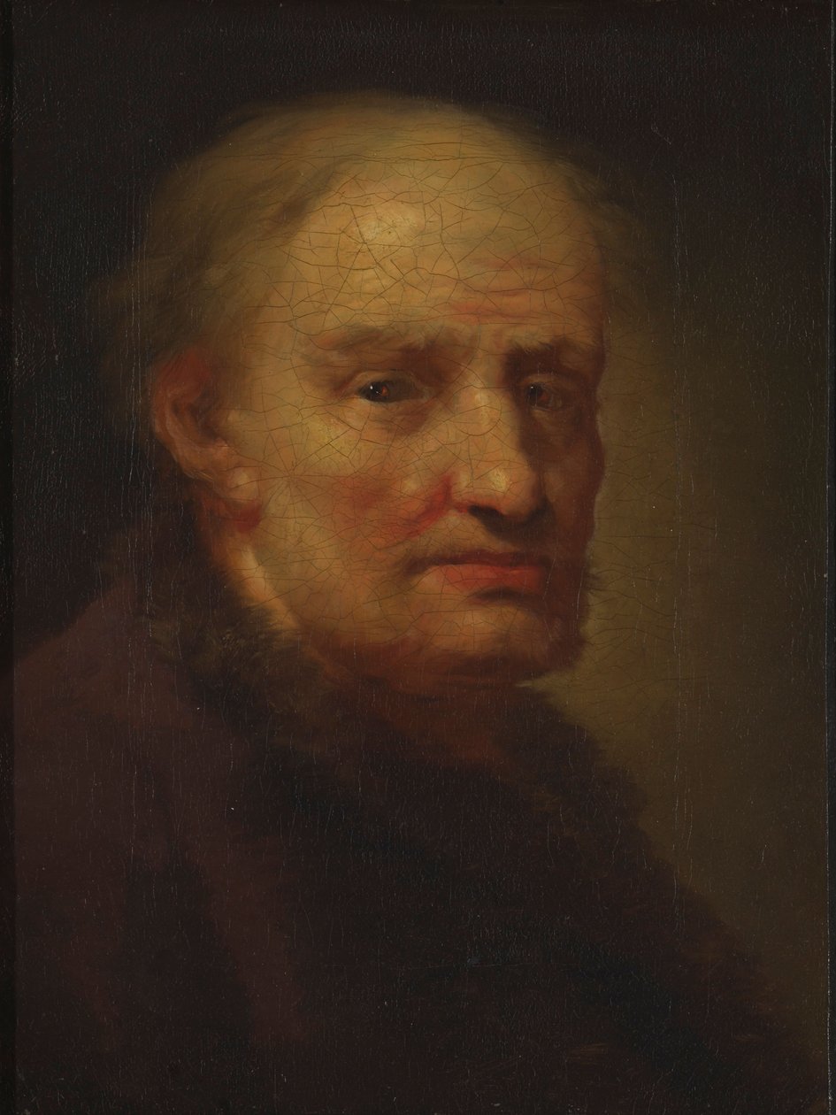 Głowa starego mężczyzny autorstwa Balthasar Denner