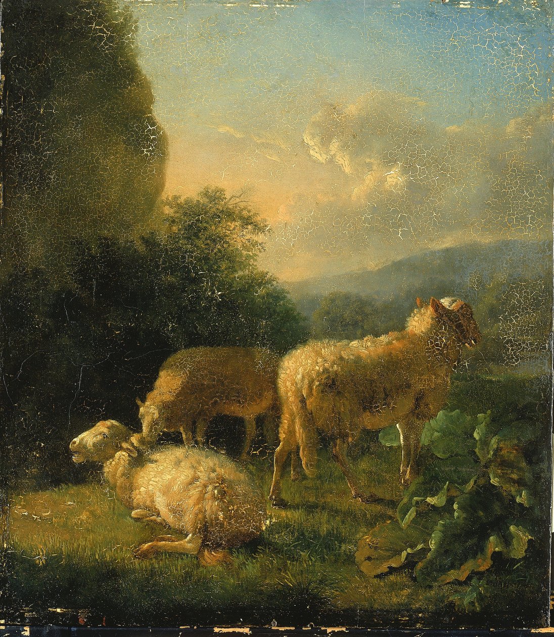 Owca autorstwa Balthasar Paul Ommeganck