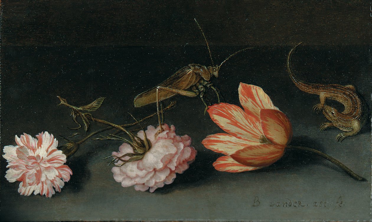 Goździki, papuga tulipan, konik polny i jaszczurka na półce autorstwa Balthasar van der Ast