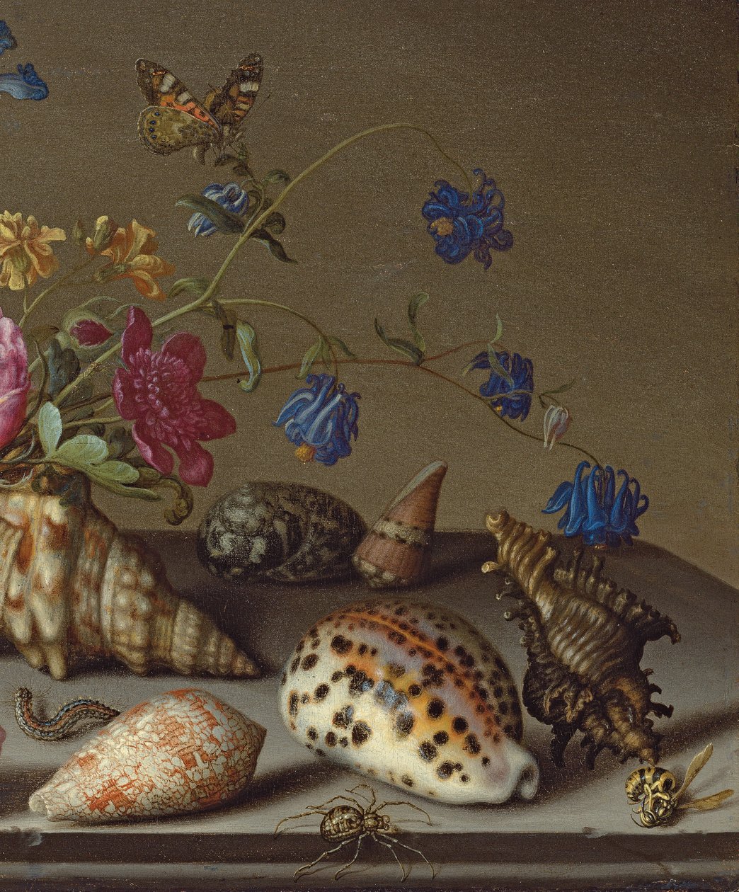 Kwiaty, muszle i owady na kamiennej półce autorstwa Balthasar van der Ast