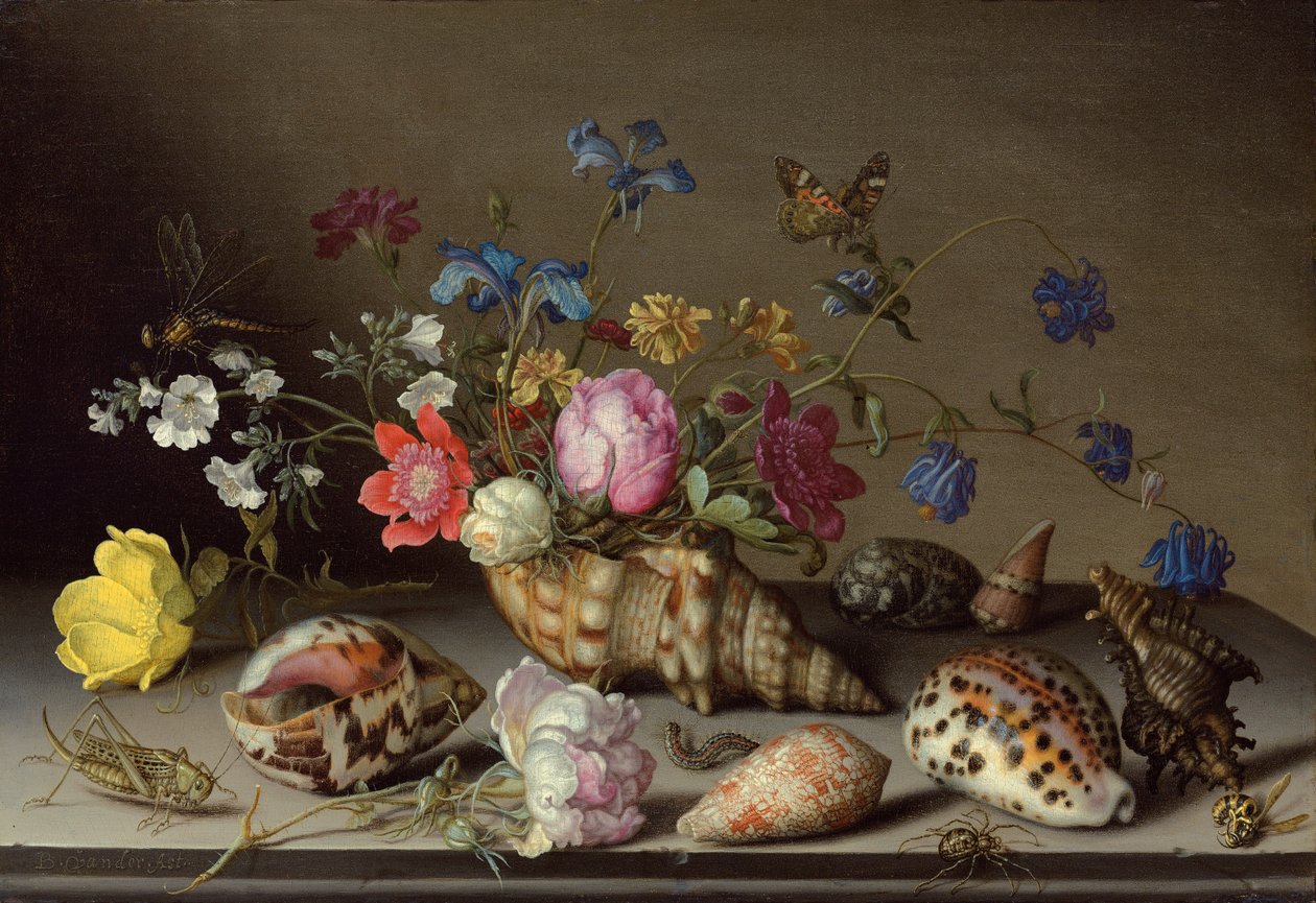 Kwiaty, muszle i owady na kamiennej półce autorstwa Balthasar van der Ast