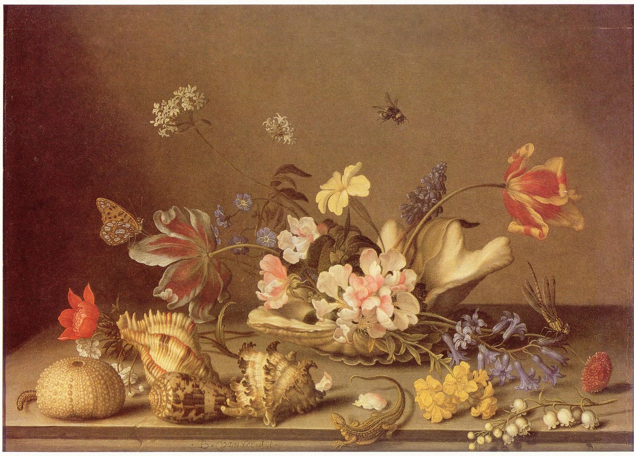 Martwa natura z kwiatów i muszli autorstwa Balthasar van der Ast