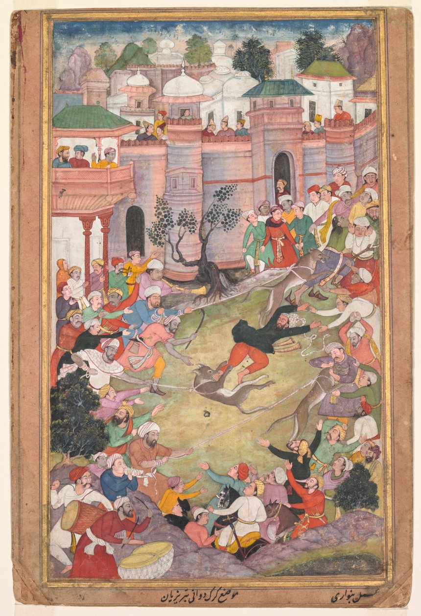 Gra o bieganie przez wilka w Tabriz, z Akbar-nama (Księga Akbara) autorstwa Banavari 1