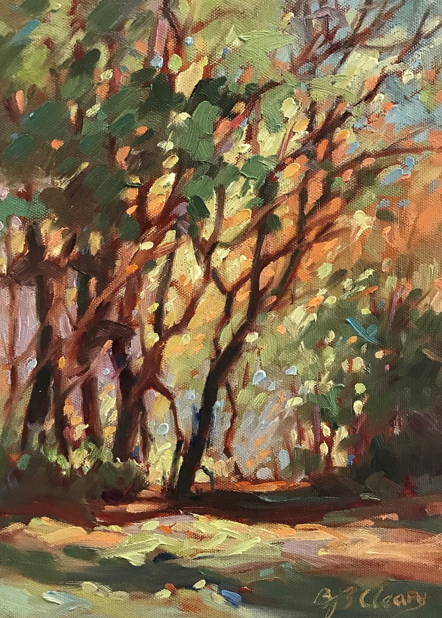  autorstwa Barbara Cleary