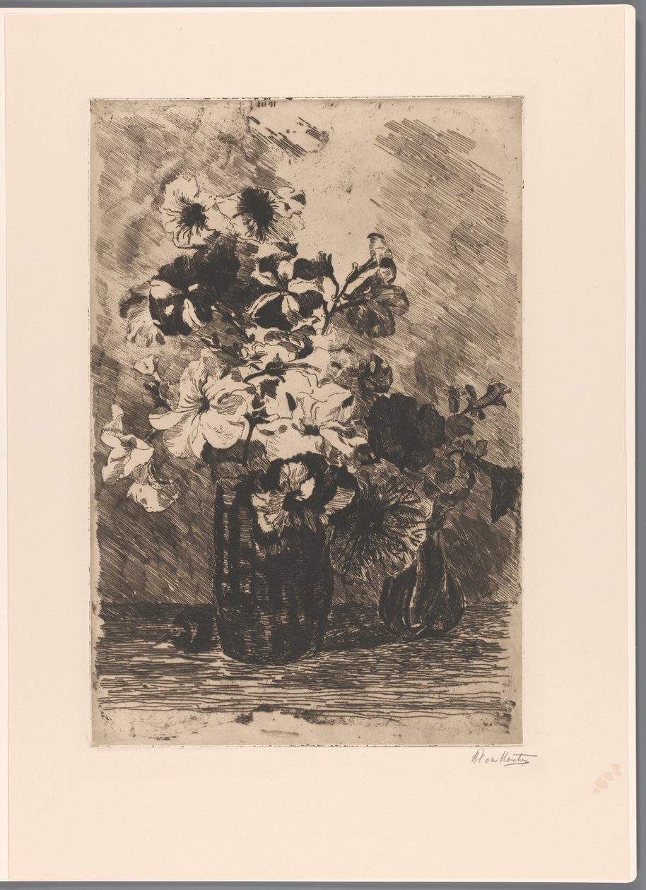 Petunie w dwóch wazonach autorstwa Barbara Elisabeth van Houten (signed by artist)