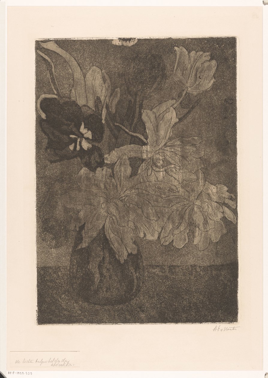 Wazon z tulipanami autorstwa Barbara Elisabeth van Houten (signed by artist)
