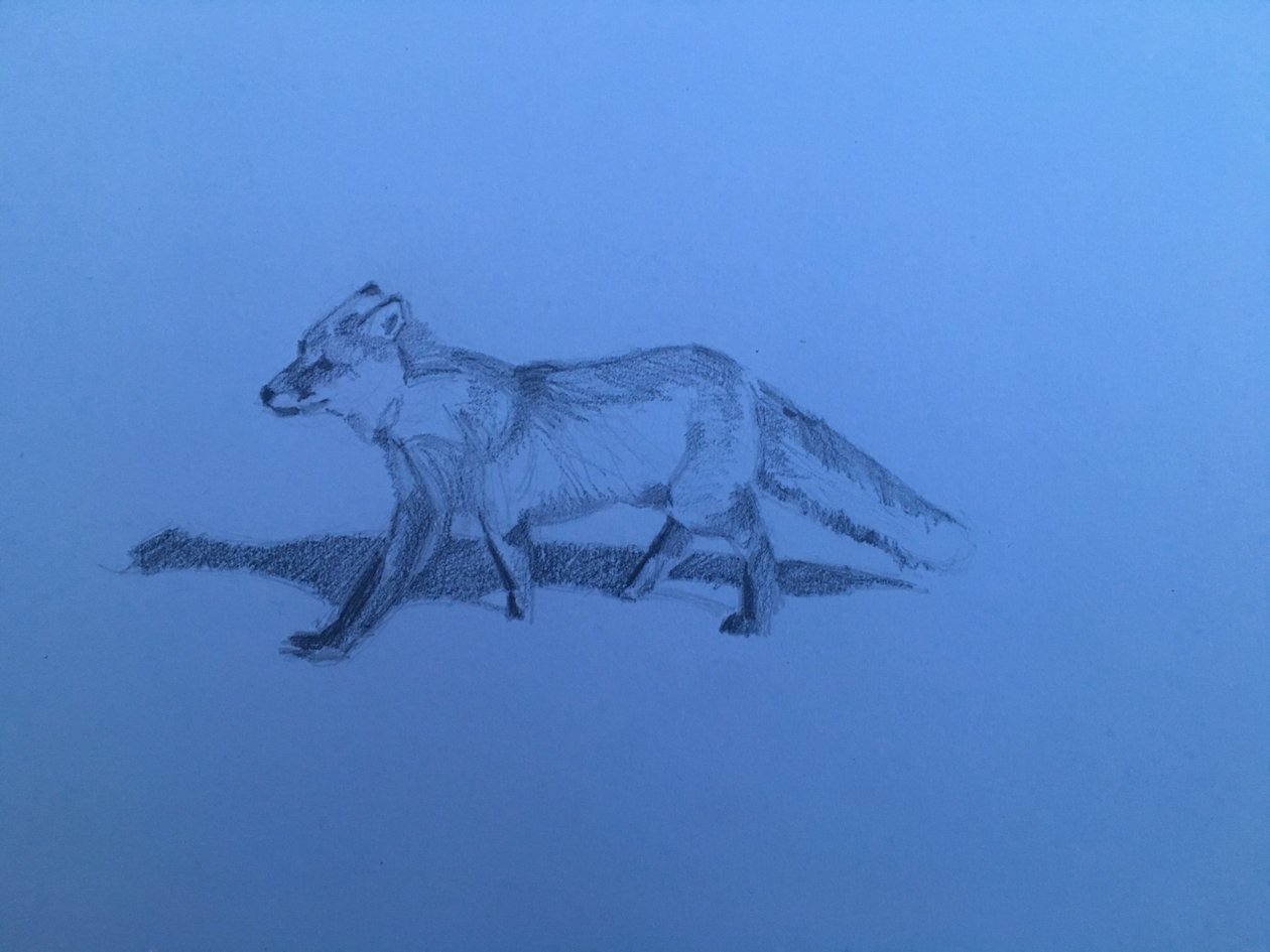 Lis, 2018 autorstwa Barbara Hoogeweegen