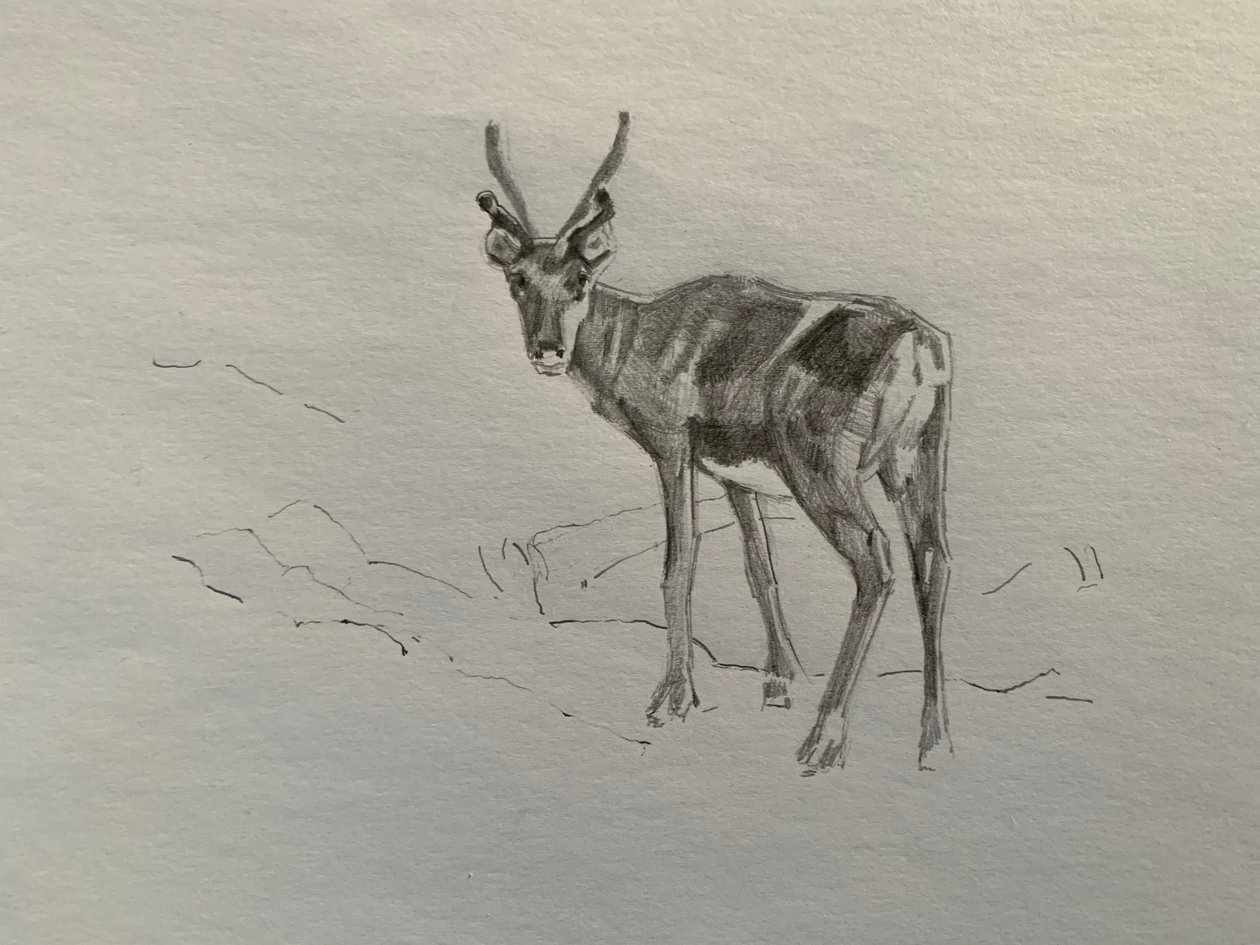 Renifer, 2019 autorstwa Barbara Hoogeweegen