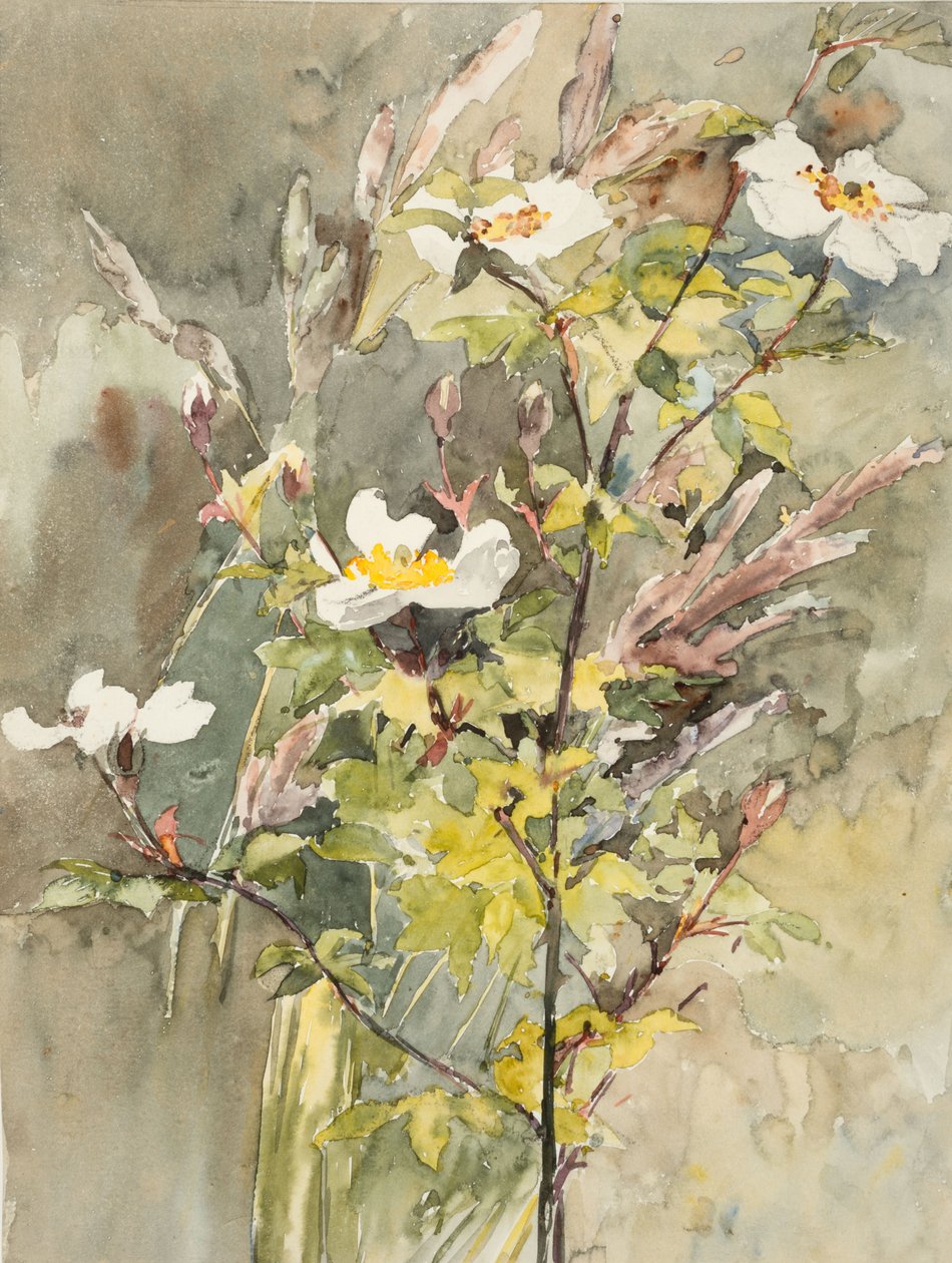Polne kwiaty (akwarela i grafit na papierze tkanym) autorstwa Barbara Leigh Smith Bodichon