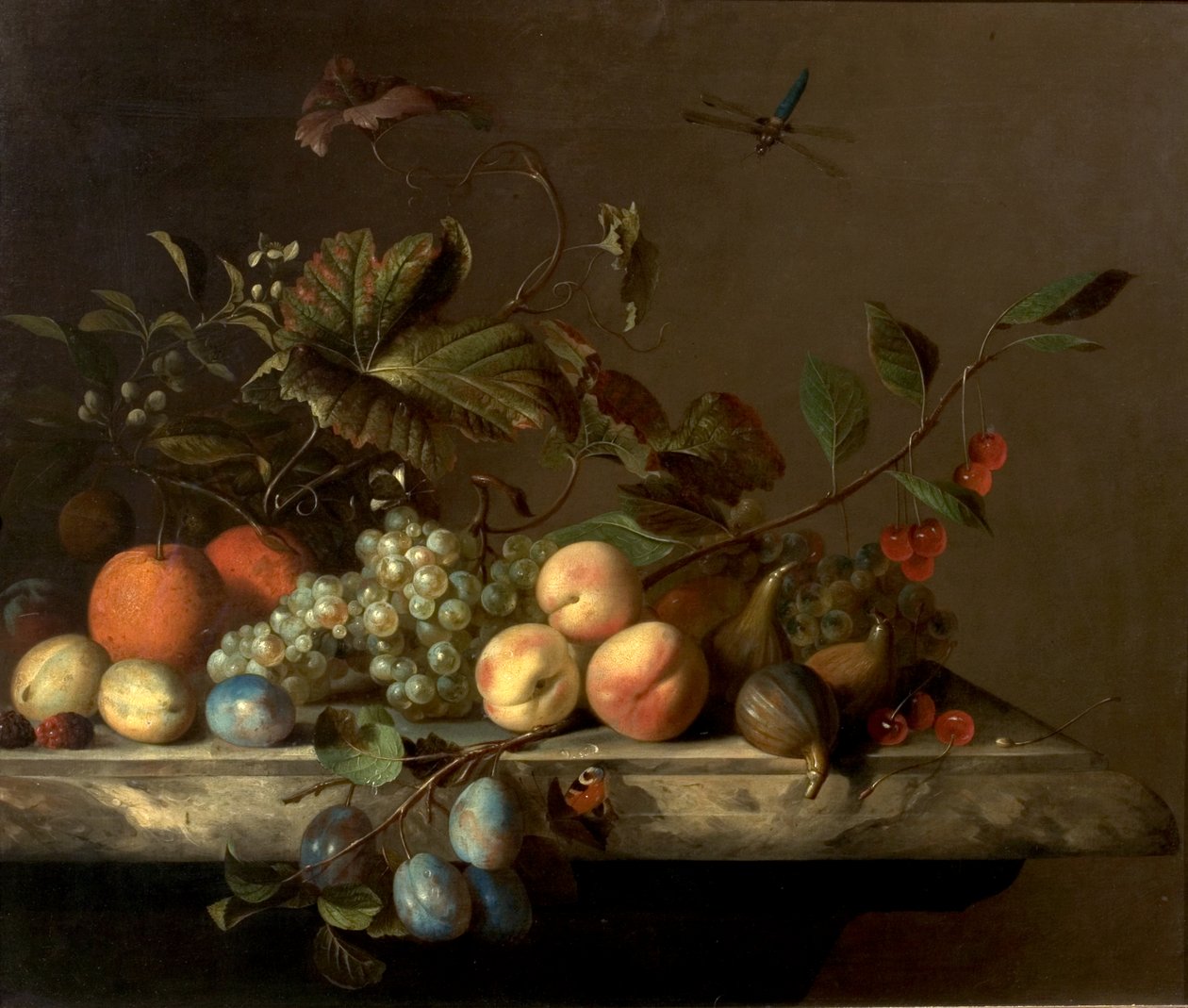 Kawałek owocu z ważką, 1692 autorstwa Barend or Bernardus van der Meer