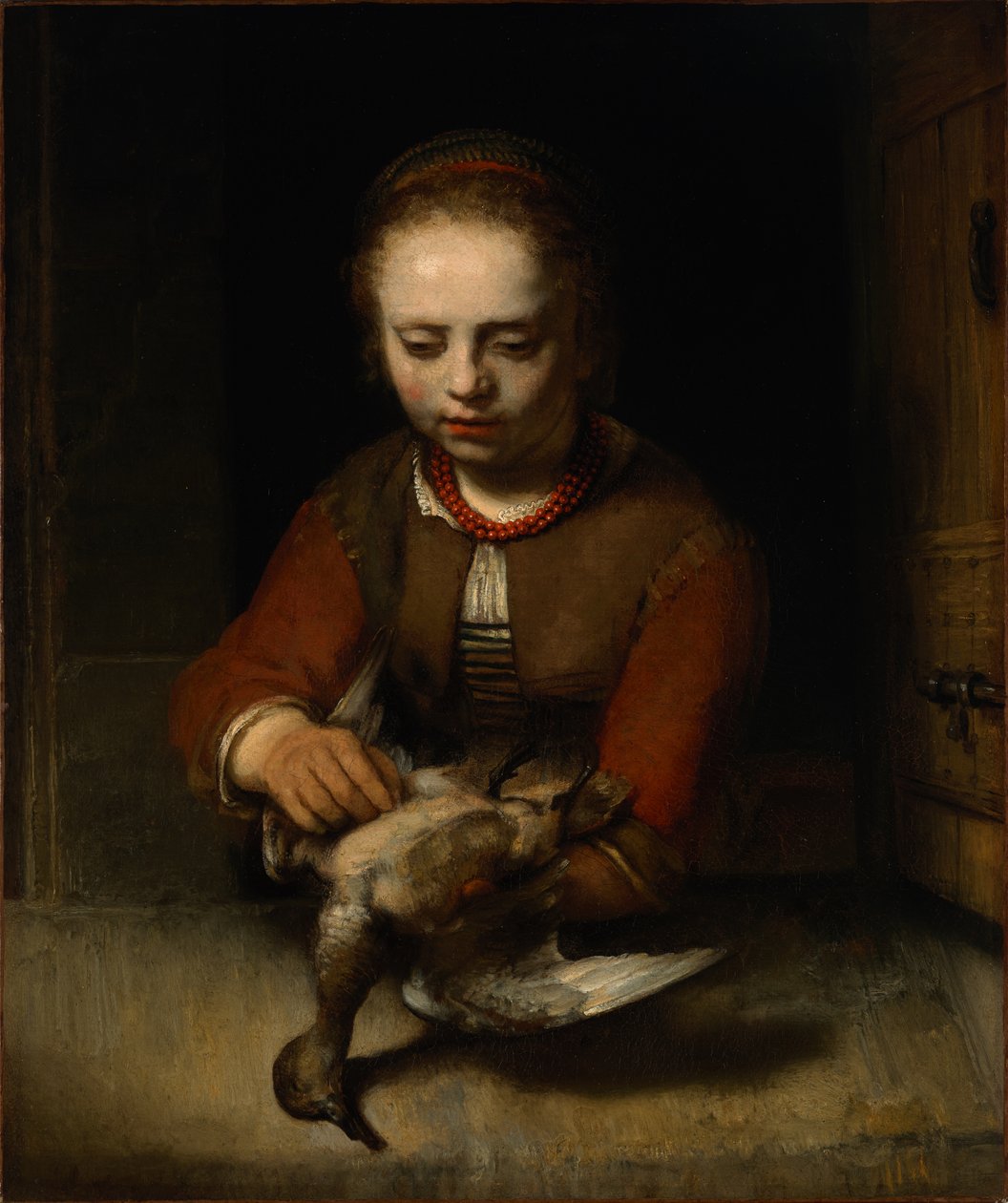 Młoda dziewczyna wyrywająca kaczkę autorstwa Barent Fabritius