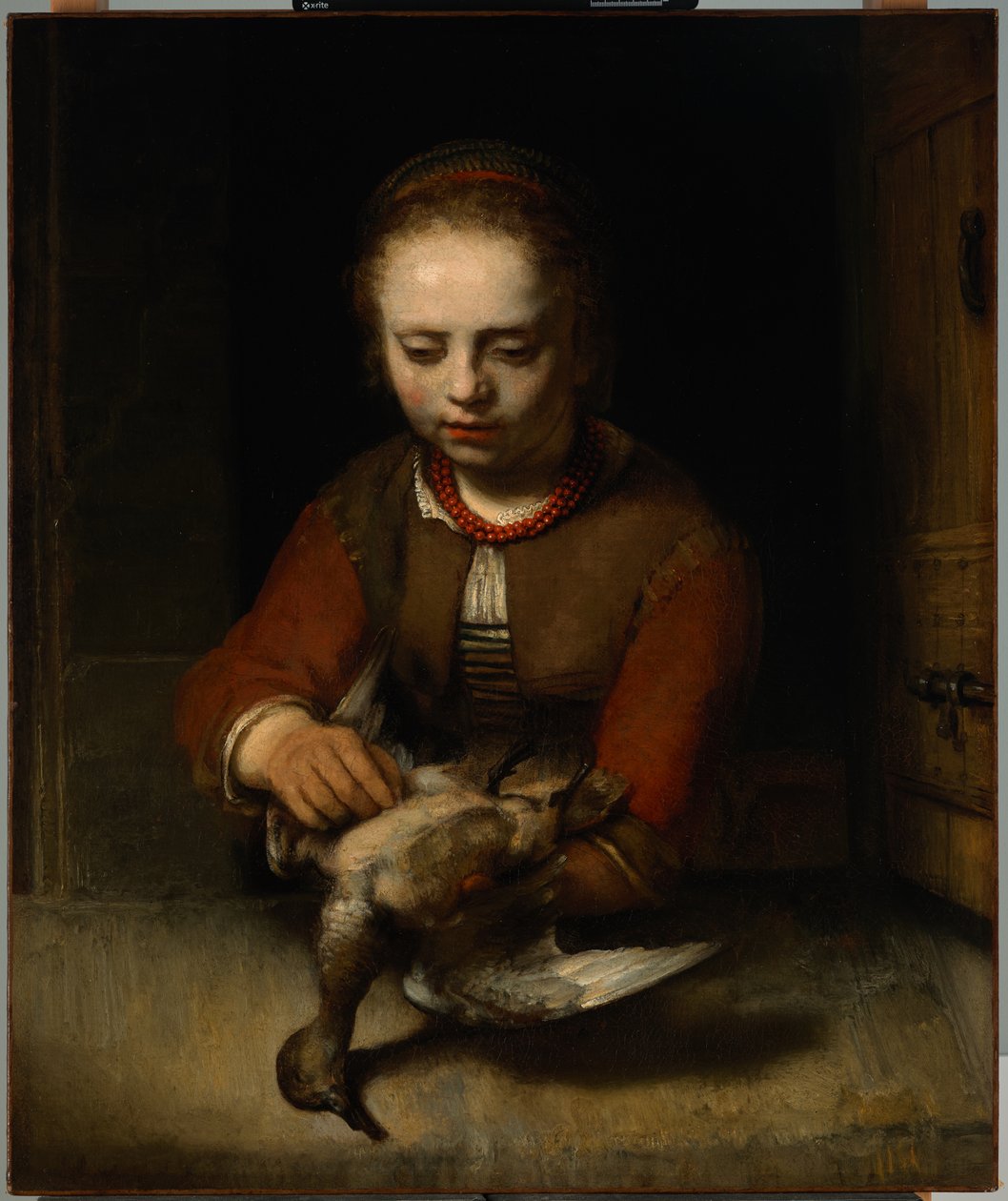 Młoda dziewczyna wyrywająca kaczkę autorstwa Barent Fabritius
