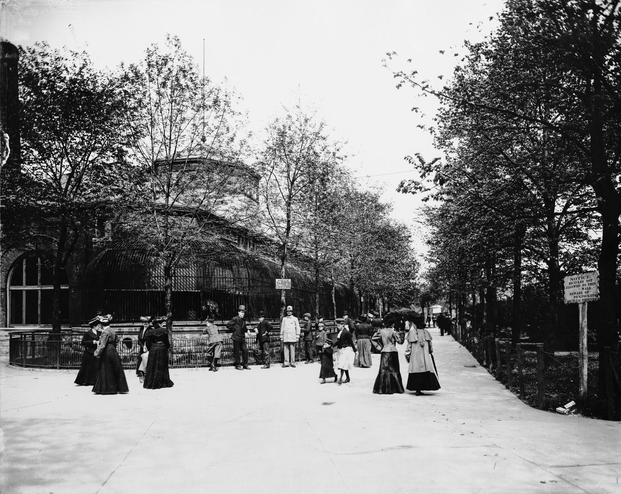 Lincoln Park Zoo., Chicago, Illinois, USA, ok. 1900 (zdjęcie czarno-białe) autorstwa Barnes and Crosby