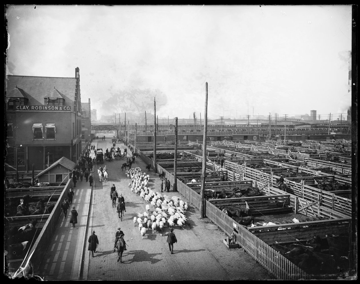 Union Stock Yards., Chicago, Illinois, USA, ok. 1910 (zdjęcie czarno-białe) autorstwa Barnes and Crosby