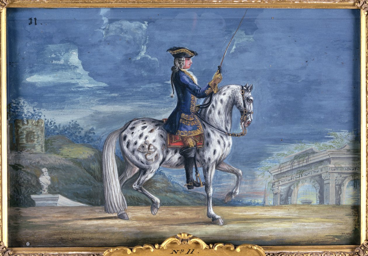 nr 11 Koń typu appaloosa Hiszpańskiej Szkoły Jazdy, ze stadniny cesarskiej w Czechach (wc na papierze) autorstwa Baron Reis Eisenberg