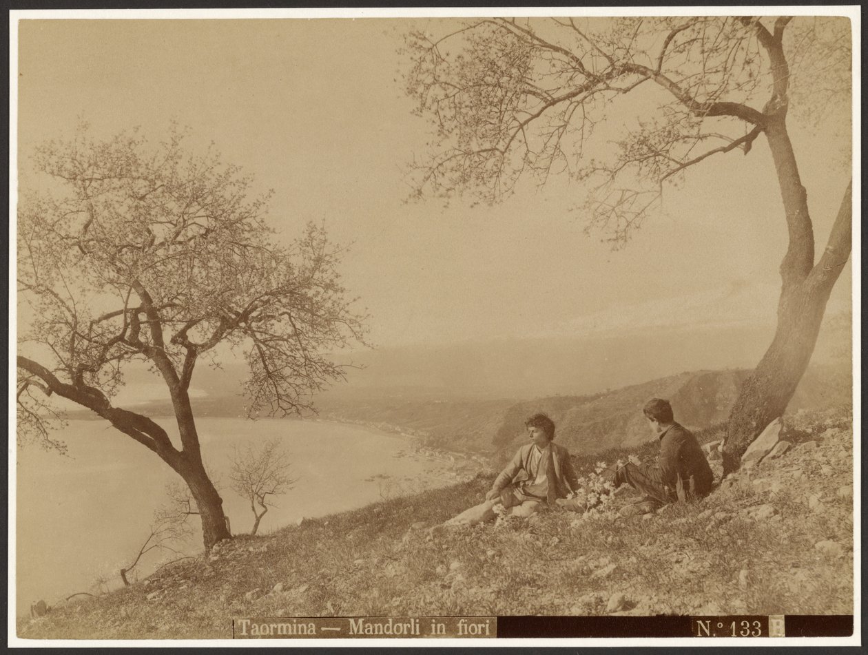 Kwitnące migdały, Taormina autorstwa Baron Wilhelm von Gloeden