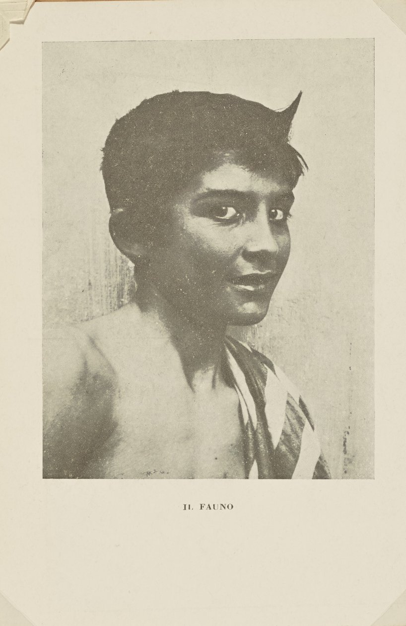 Faun autorstwa Baron Wilhelm von Gloeden