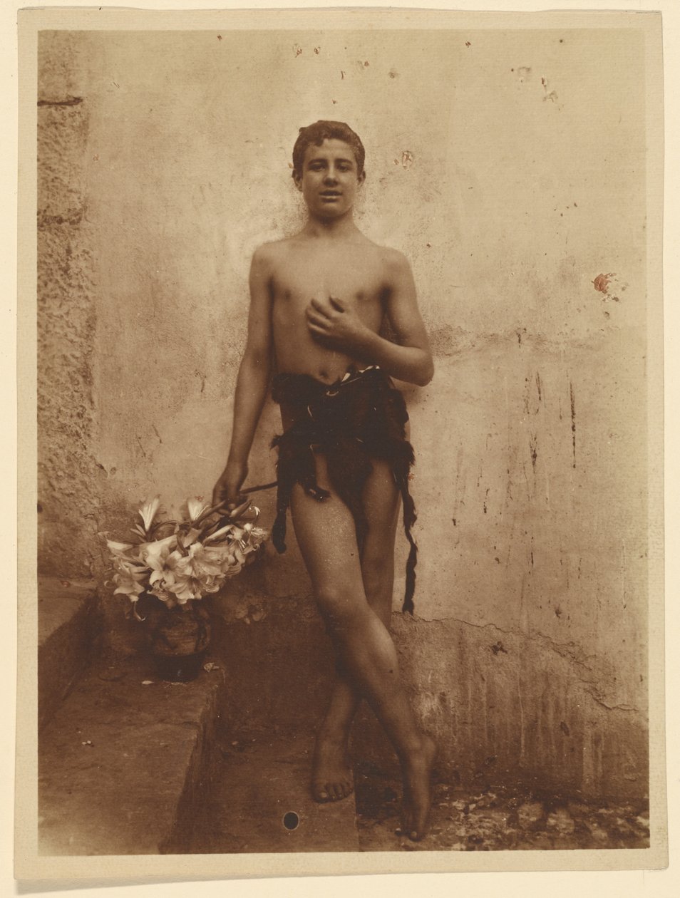 [Młodzież z liliami] autorstwa Baron Wilhelm von Gloeden